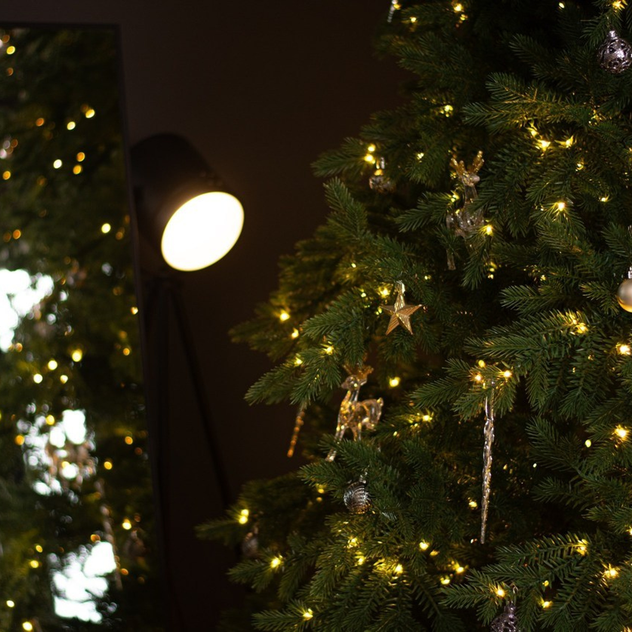 Отзывы. Семейный и детский фотограф в Крыму Ольга Кравцова