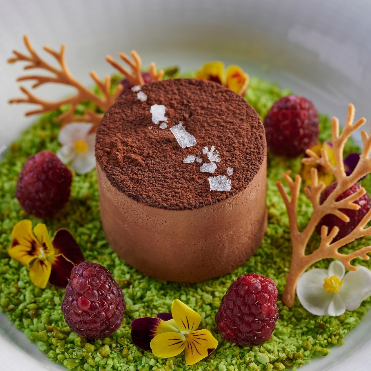 Отзывы. Фотограф Сочи Александр Лашкул