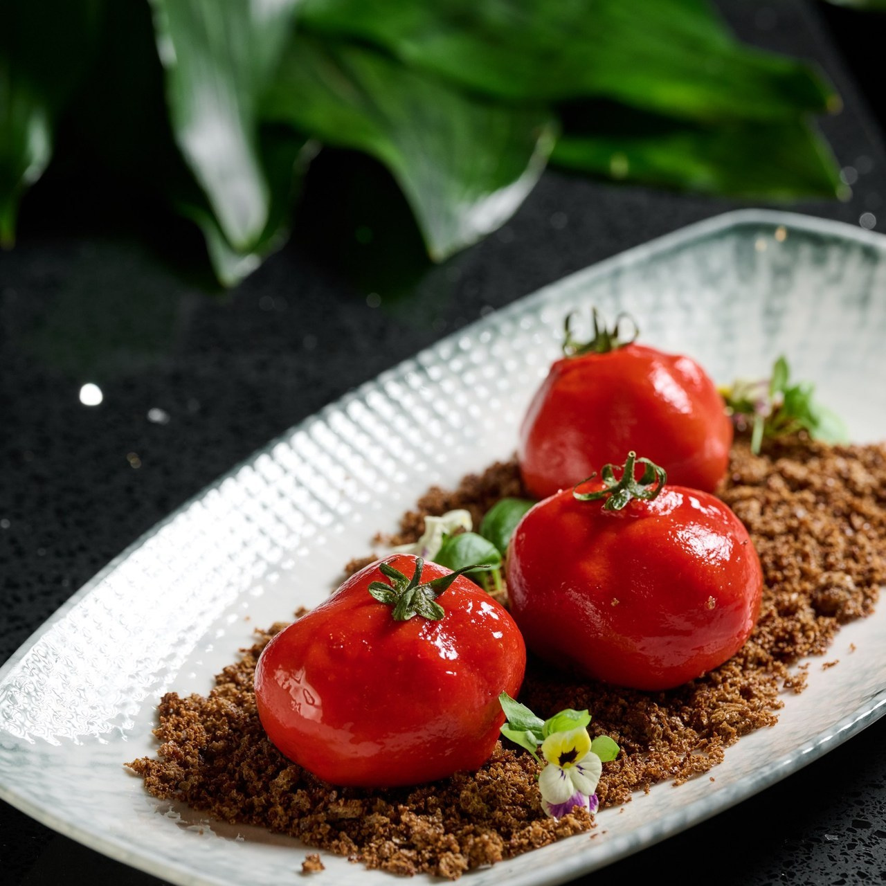 Отзывы. Фотограф Сочи Александр Лашкул