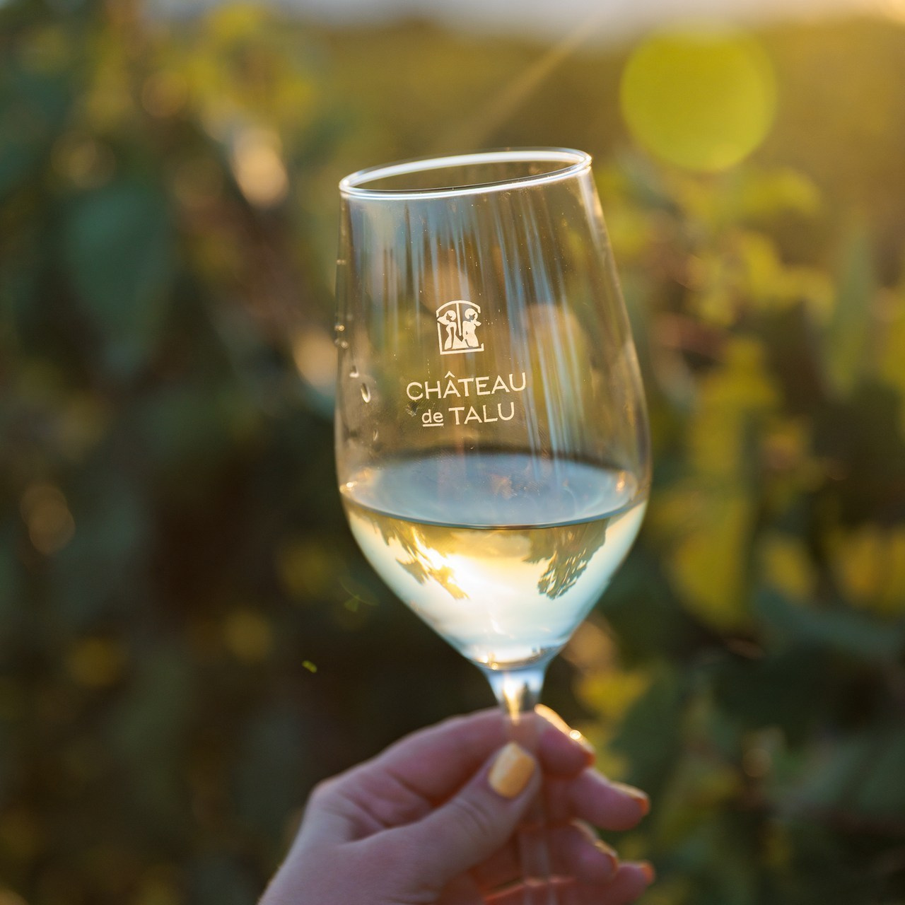 Отзывы. Фотограф в Геленджике Мария Четверикова