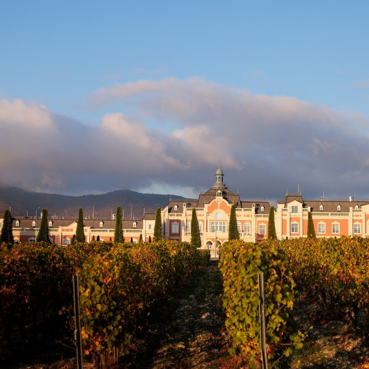 Отзывы. Фотограф в Геленджике Мария Четверикова