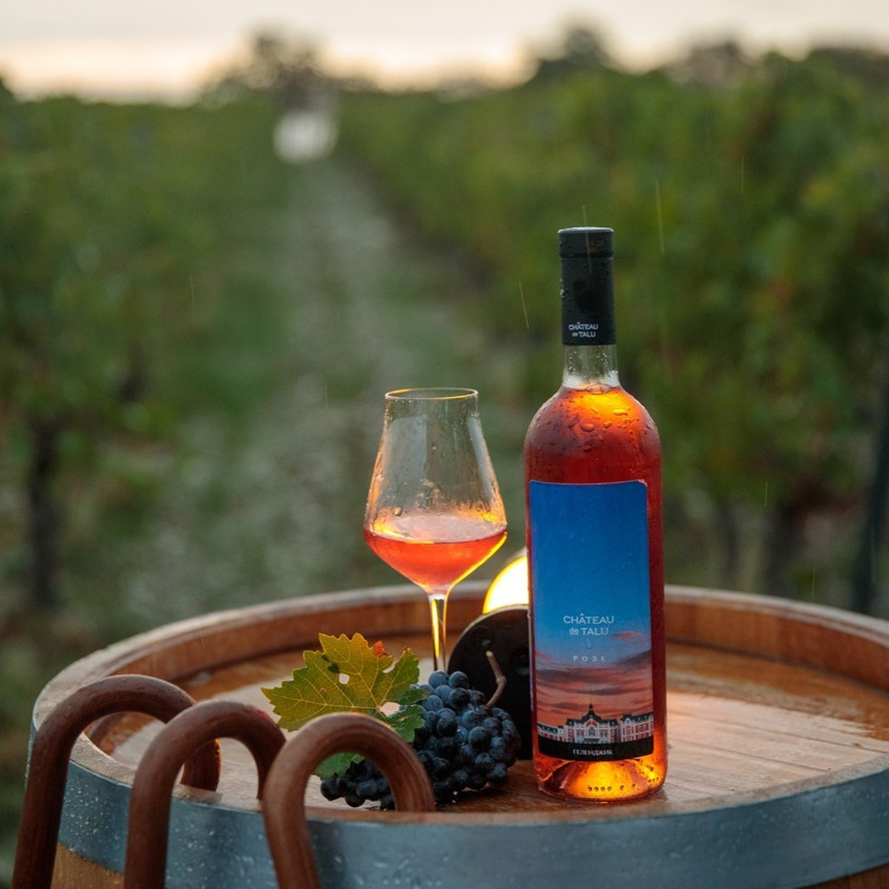 Отзывы. Фотограф в Геленджике Мария Четверикова