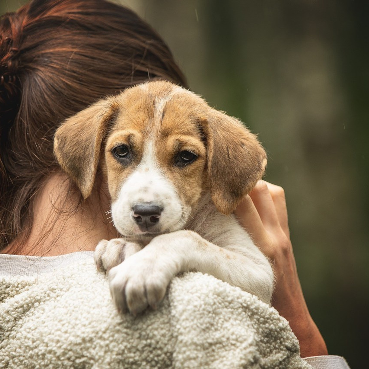 Отзывы. Фотограф-анималист в Москве и Подмосковье