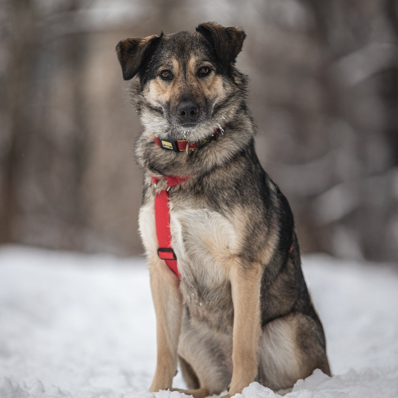 Отзывы. Фотограф-анималист в Москве и Подмосковье