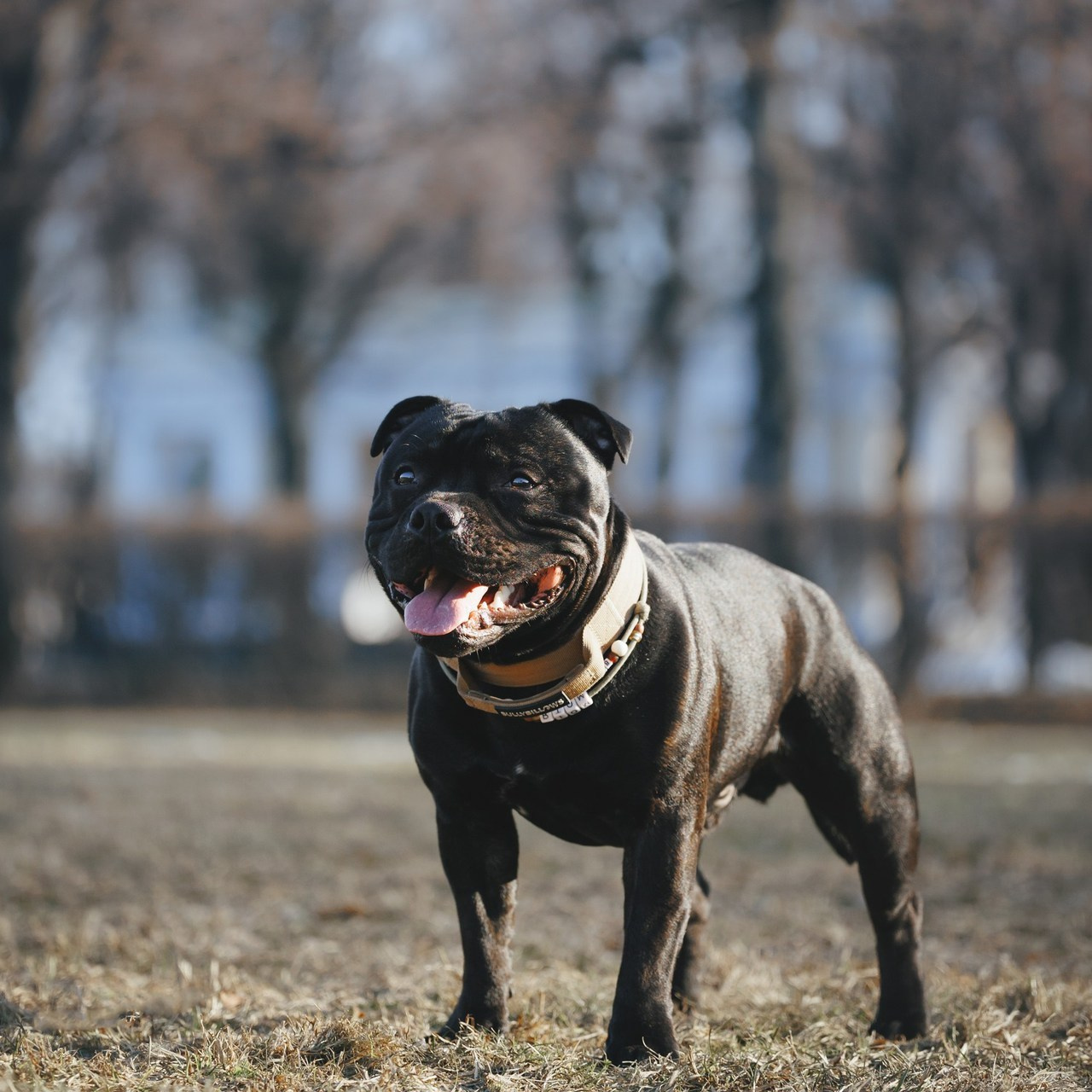 Отзывы. Фотограф для людей и их питомцев Вика Шальнева