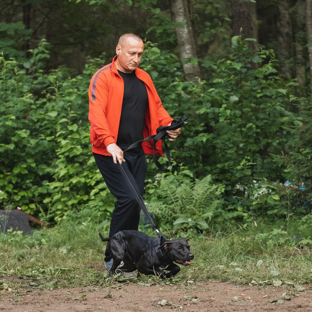 Отзывы. Фотограф для людей и их питомцев Вика Шальнева