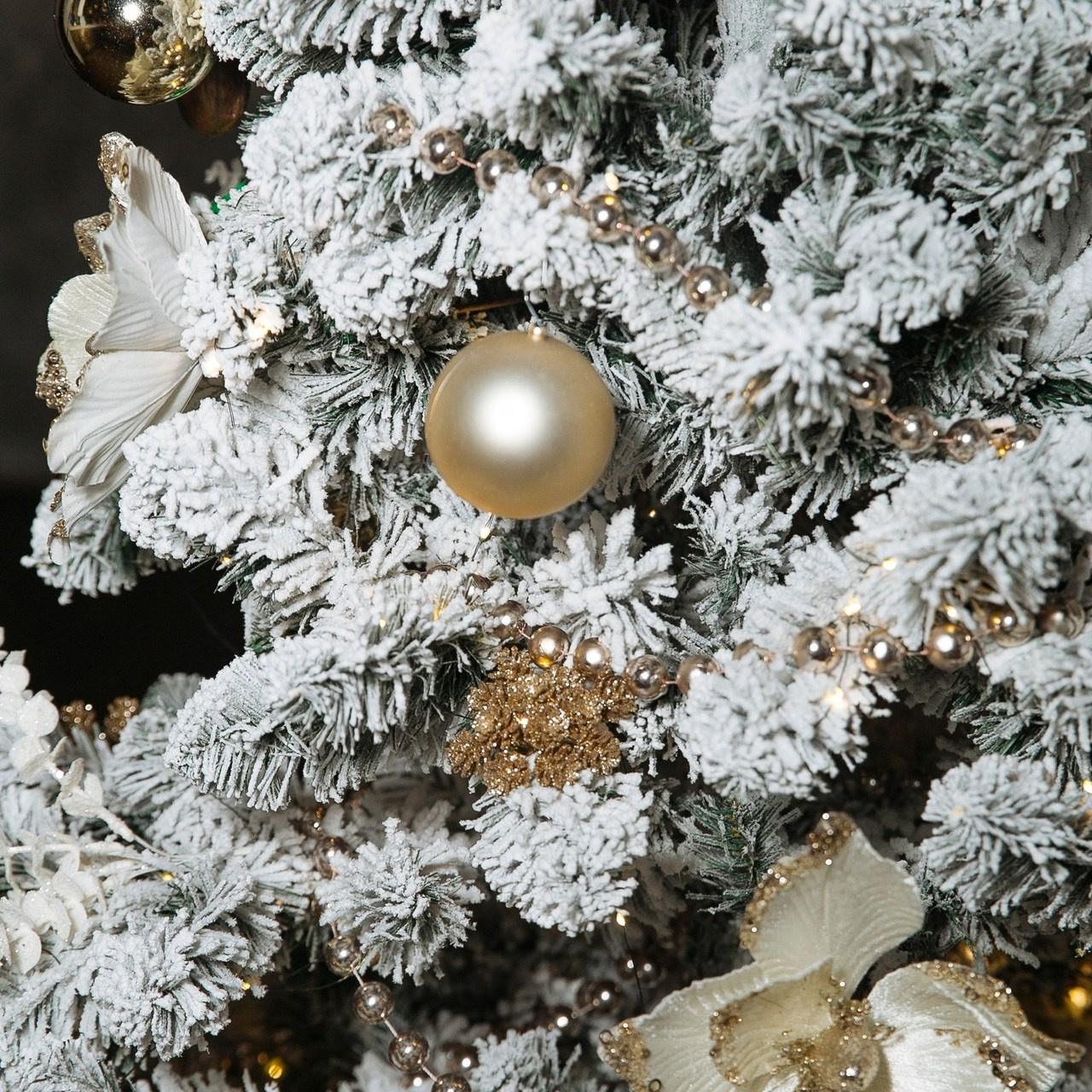 Отзывы. Фотограф в Москве