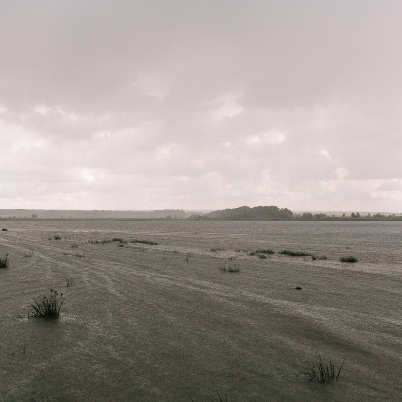 Отзывы. Свадебный и семейный фотограф в Самаре Надежда Раскина