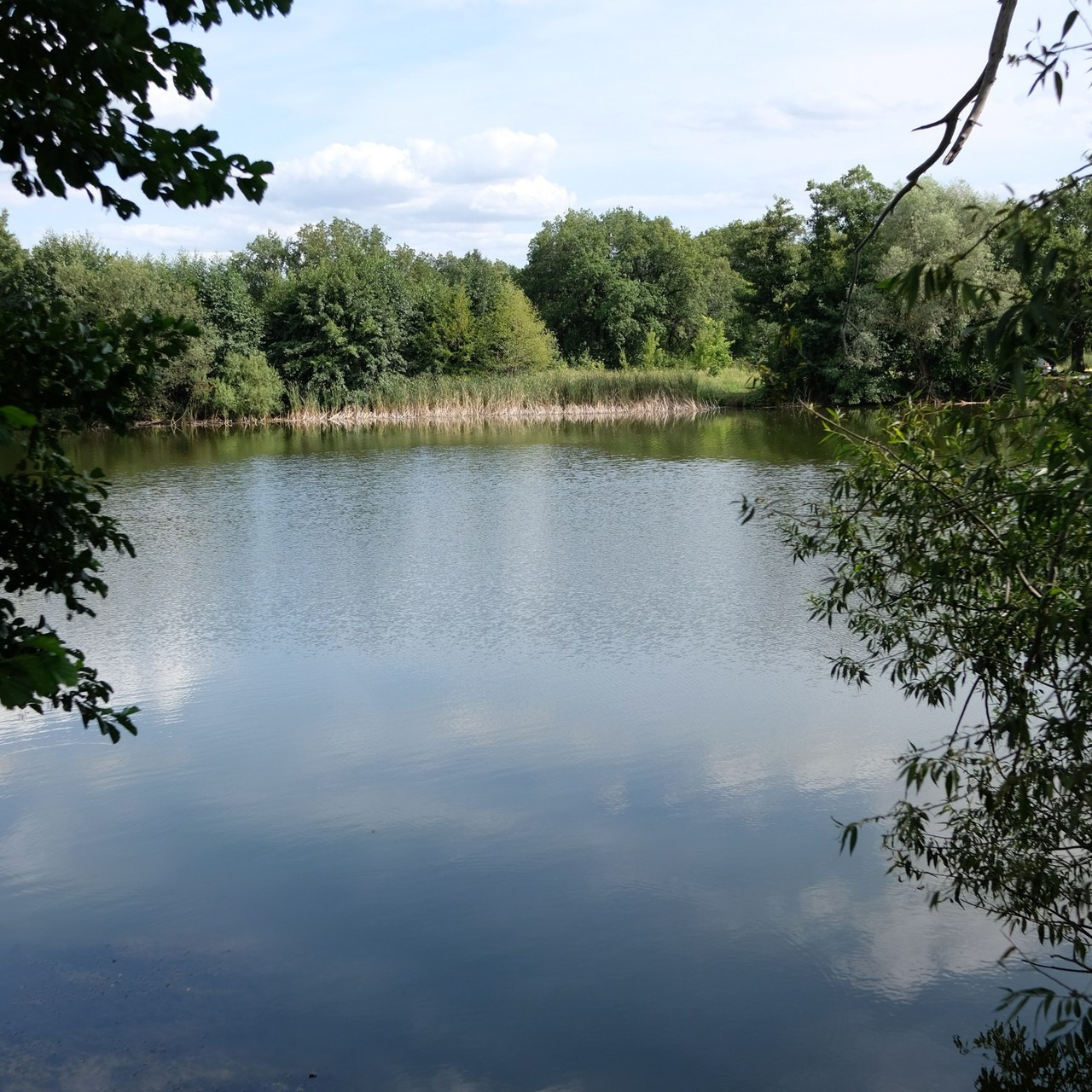 Отзывы. Свадебный и семейный фотограф в Самаре Надежда Раскина