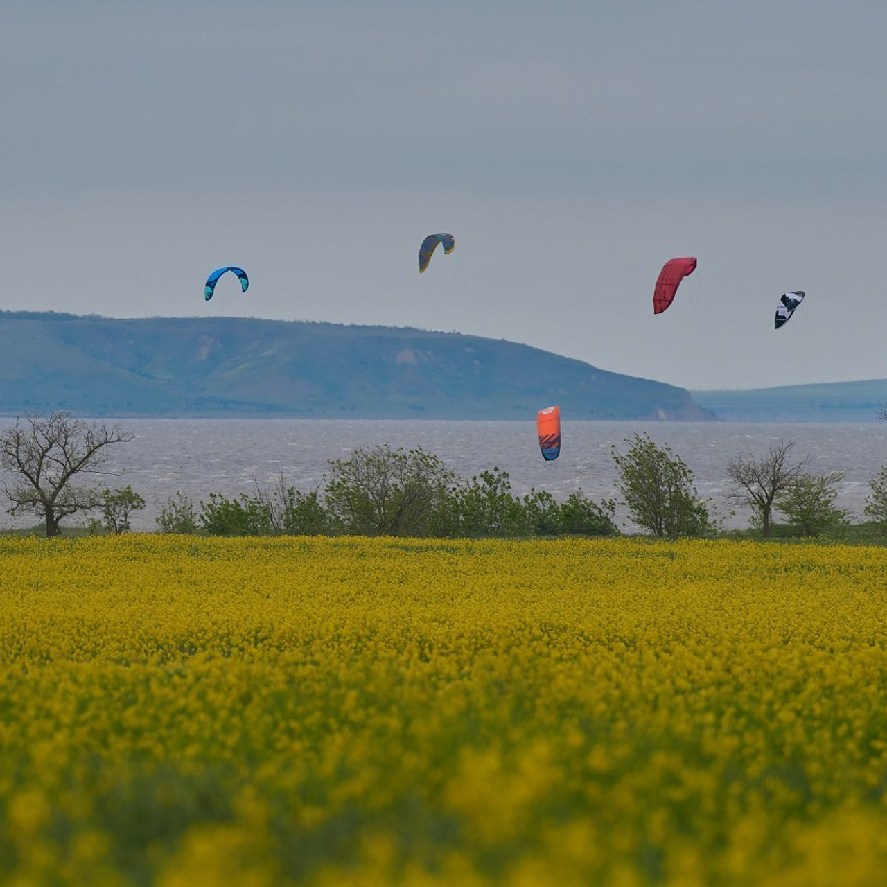 Отзывы, предложения, благодарность, критика. Яркие фото на Чёрном море