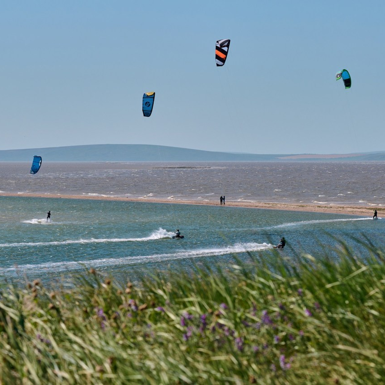 Отзывы, предложения, благодарность, критика. Яркие фото на Чёрном море