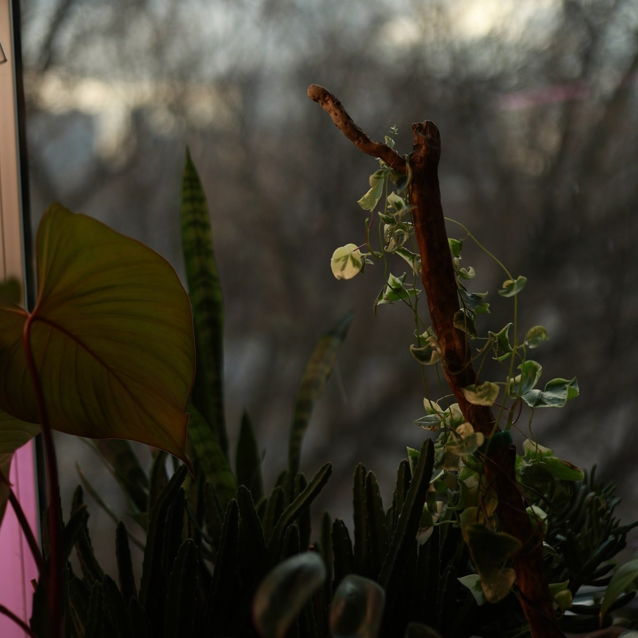 Отзывы. Семейный и Lifestyle фотограф в Москве Маргарита Ермолова