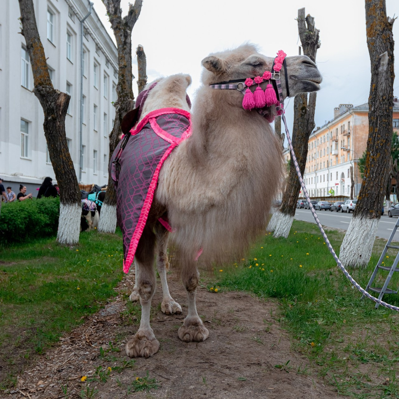 Отзывы клиентов. Портретный и пейзажный фотограф Никита Павлов