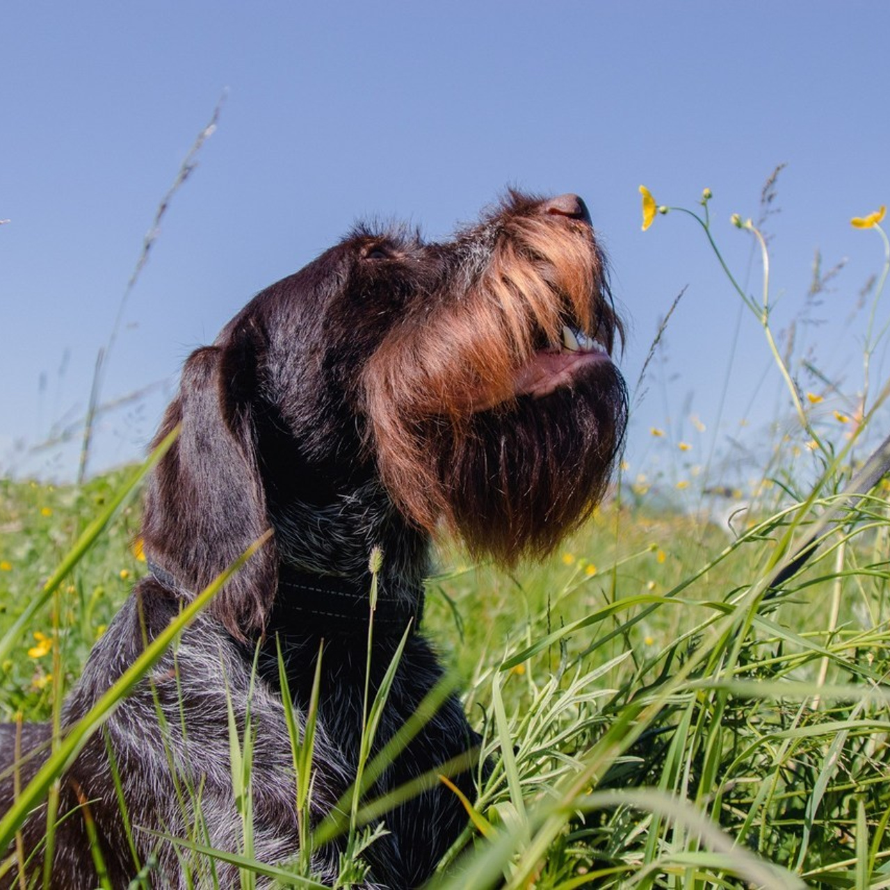 Отзывы клиентов. Портретный и пейзажный фотограф Никита Павлов