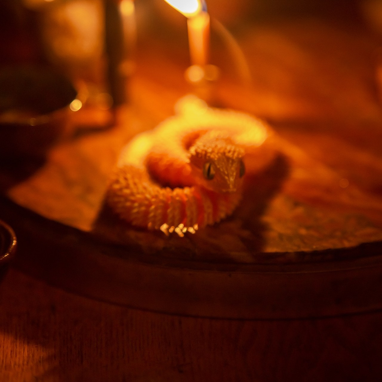 Отзывы. Фотограф Софья Горбунова