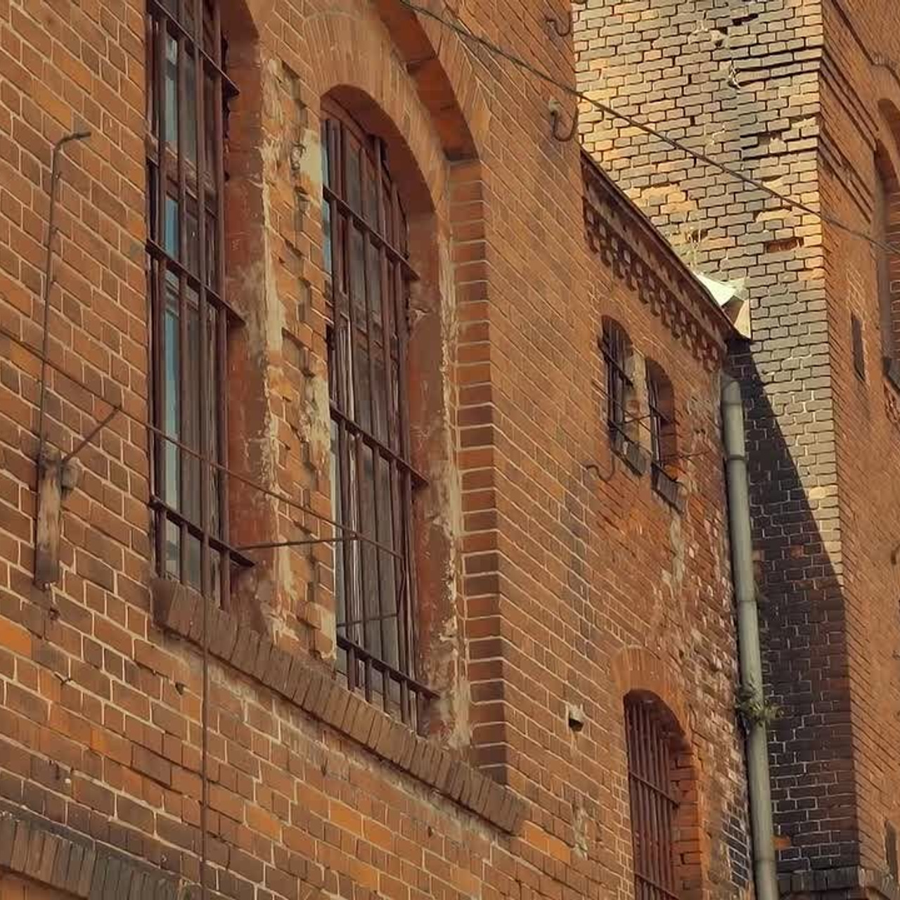 travel видео