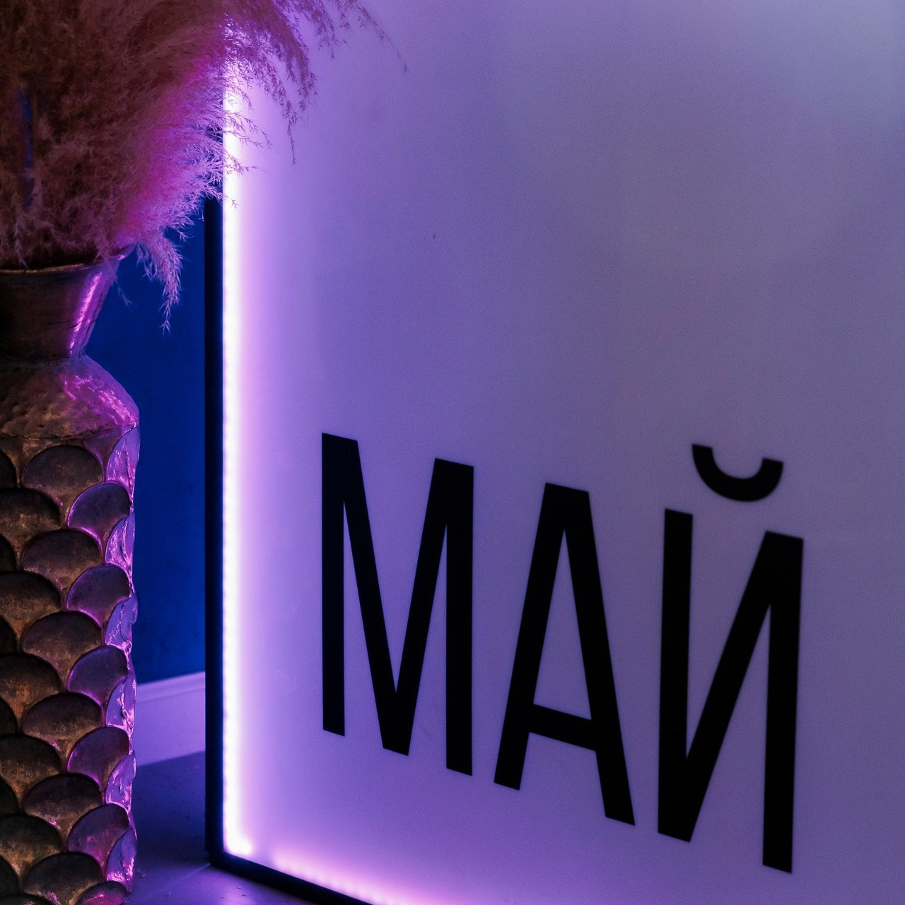 Отзывы. Репортажный и свадебный фотограф Катерина Потапова