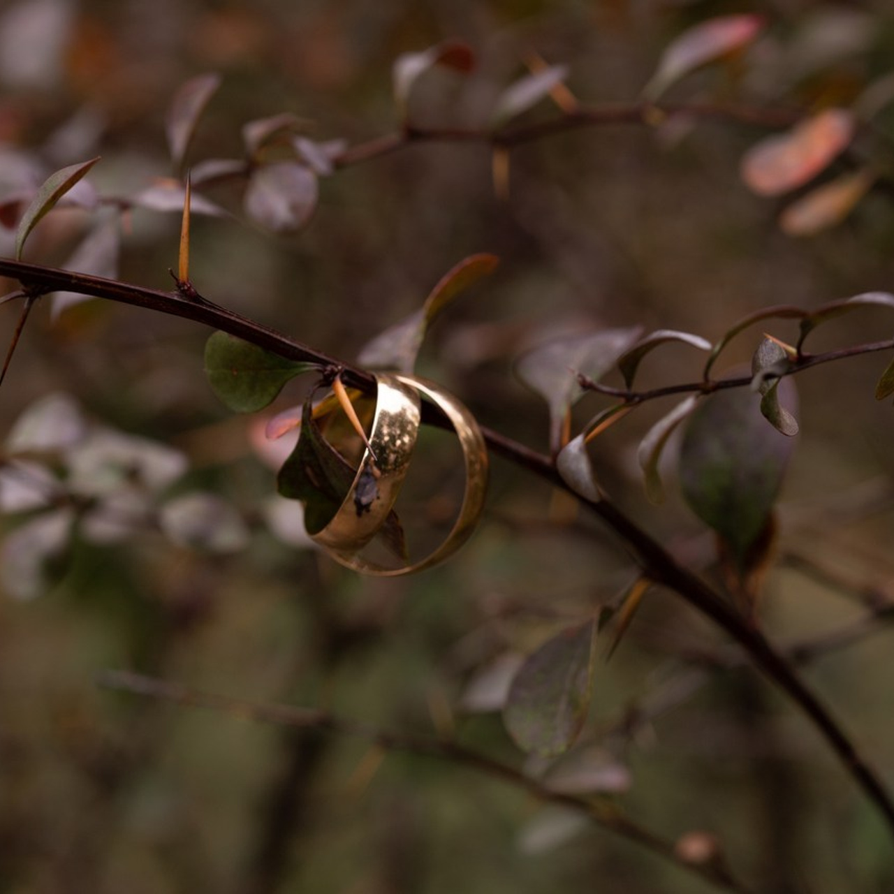 Теплые слова. Видеосьемка, фотосьемка свадеб, юбилеев, утренников в Краснодарском кр