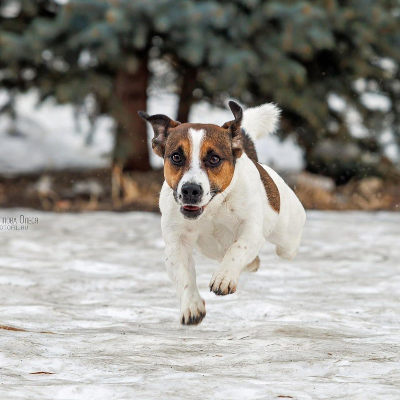 Отзывы. Главная
