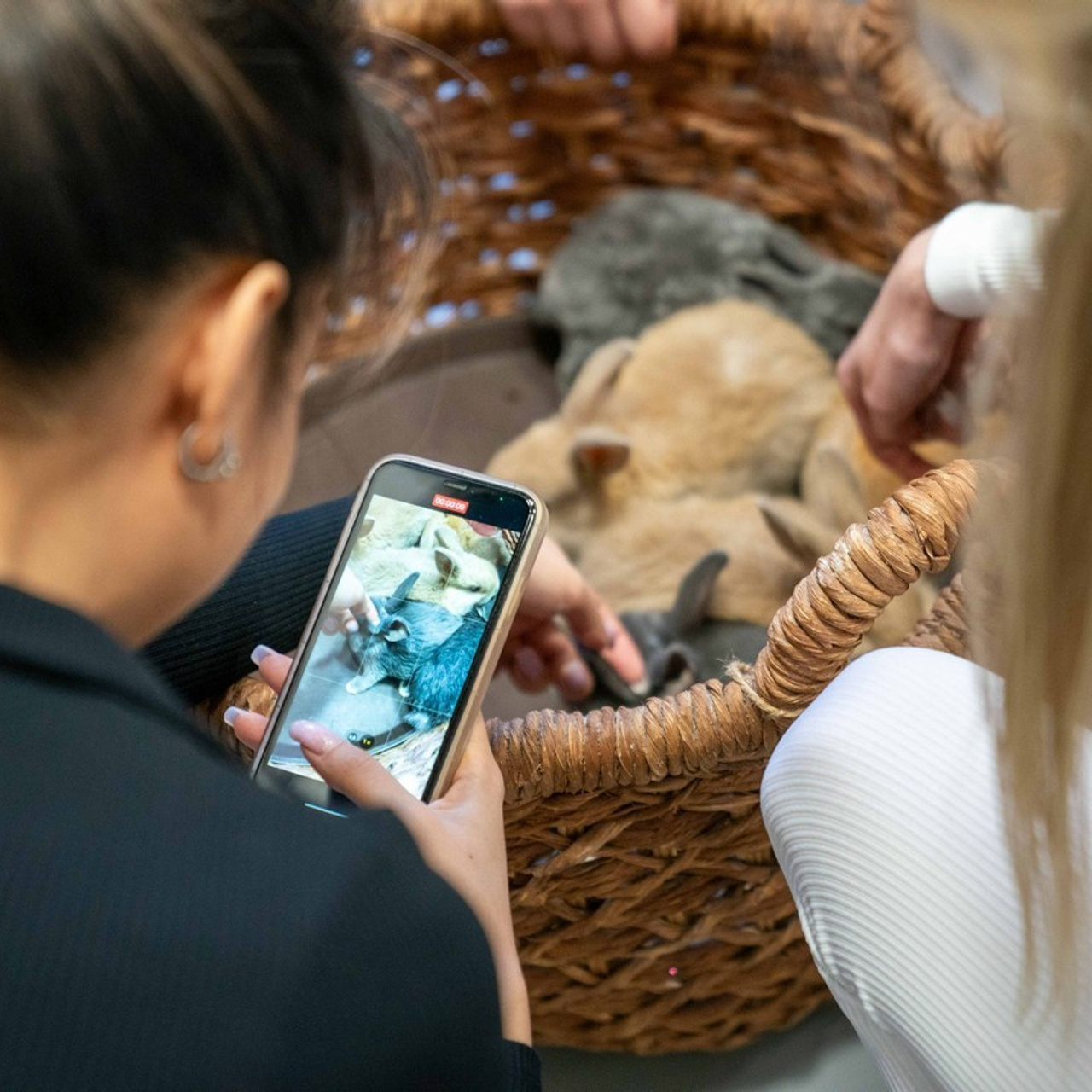 Отзывы. Павел Степанов фотограф, видеограф — Москва — Санкт-Петербург