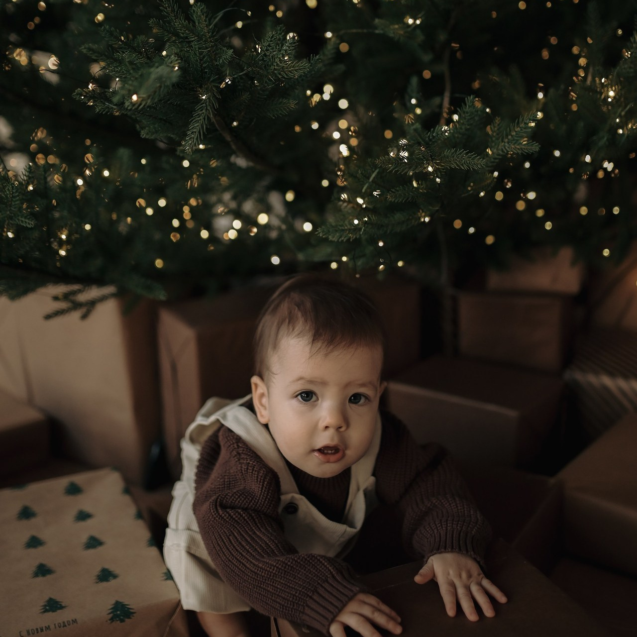 Отзывы. Портретный фотограф Косарева Анастасия