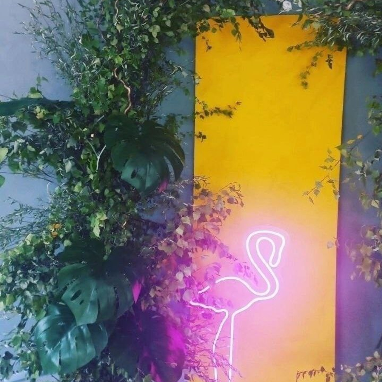 Фотозоны для съемки в школе. Школьная съемка и создание выпускных альбомов в Нижнем Новгороде