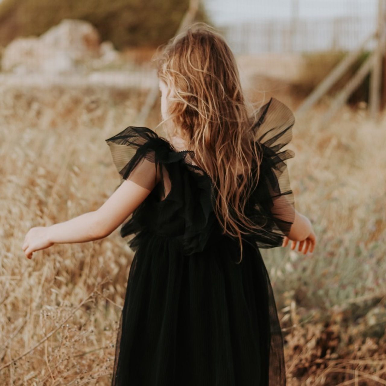 Reviews. Photographer in Israel Alice Milchin