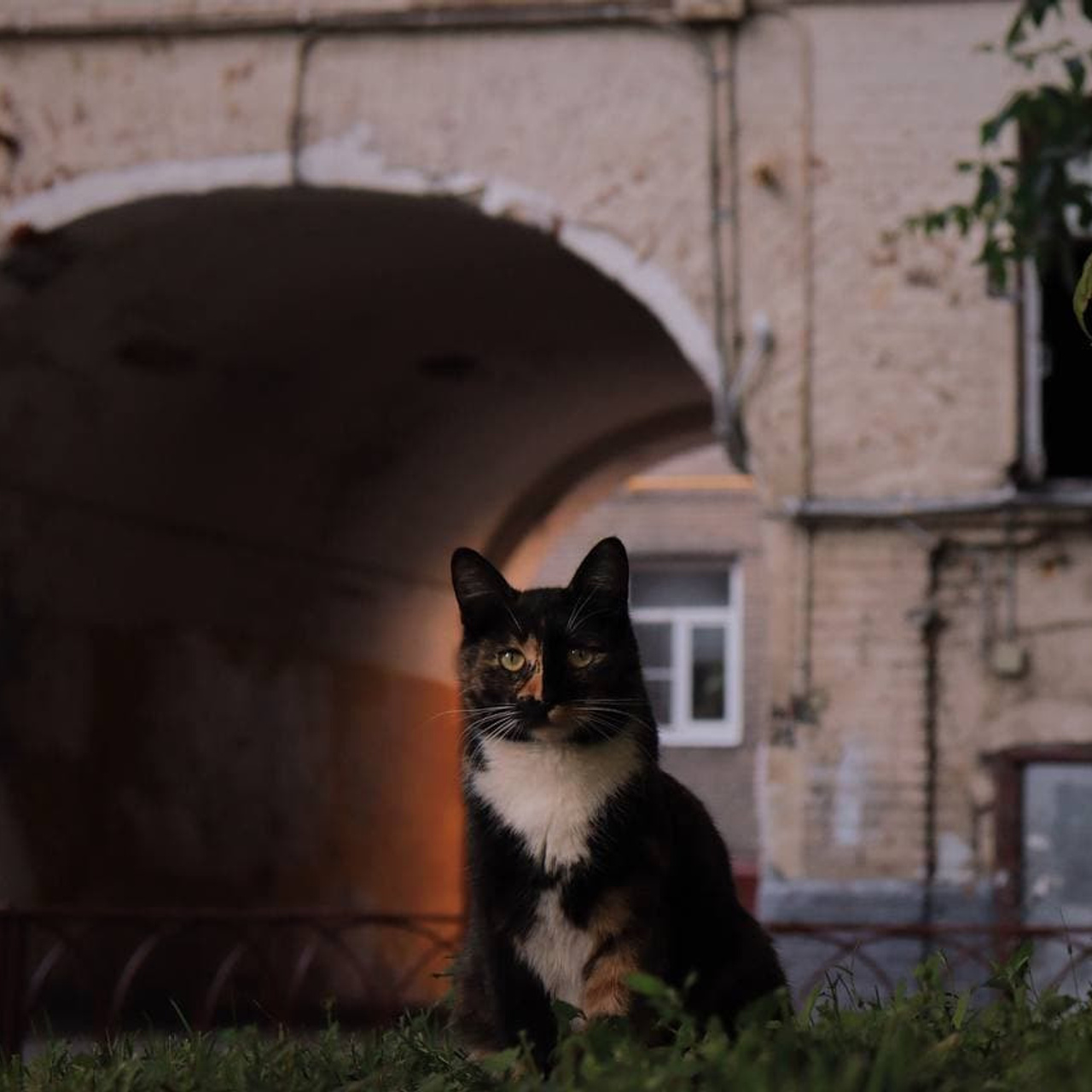 «You won't find a single person who'd say: I want to live here».