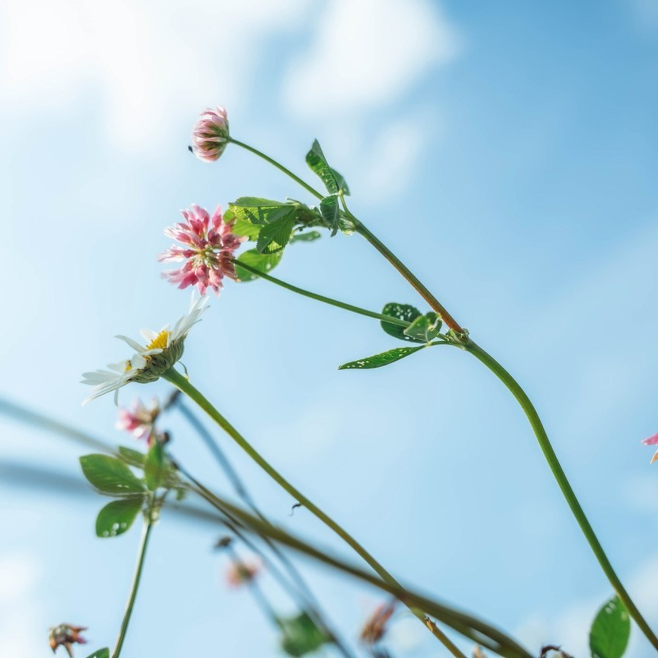 Отзывы. Катерина Мельникова. Портретный фотограф Москва и Химки