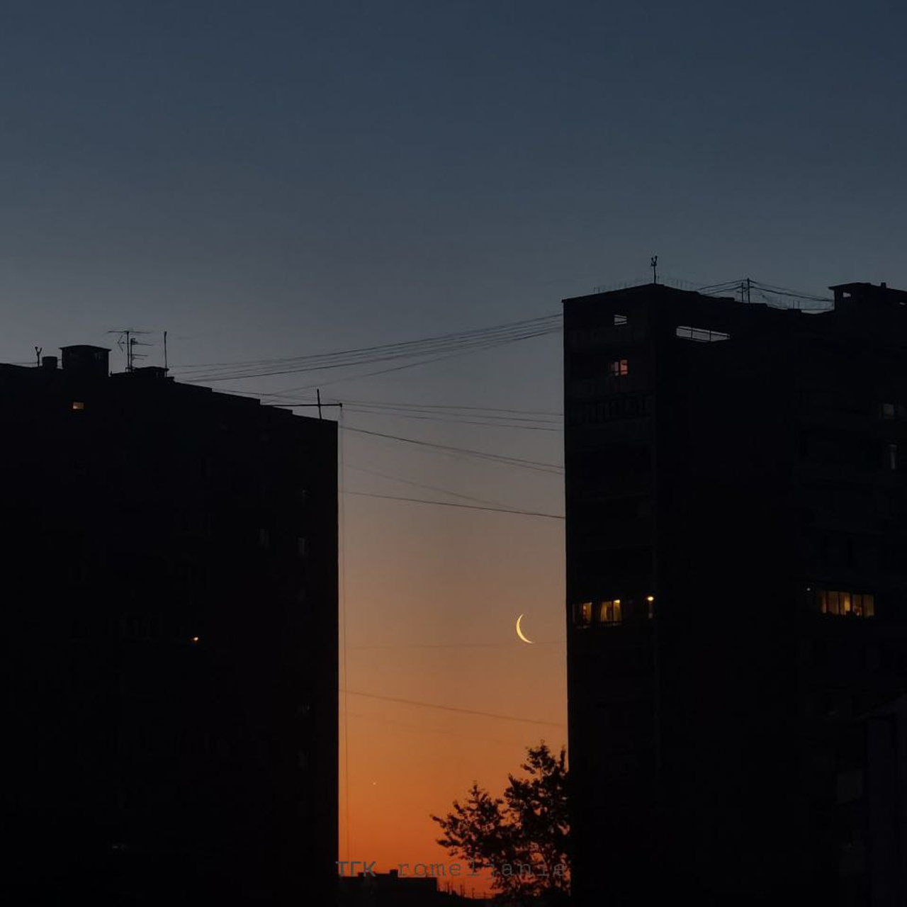 World. Ирина Савельева — фотограф