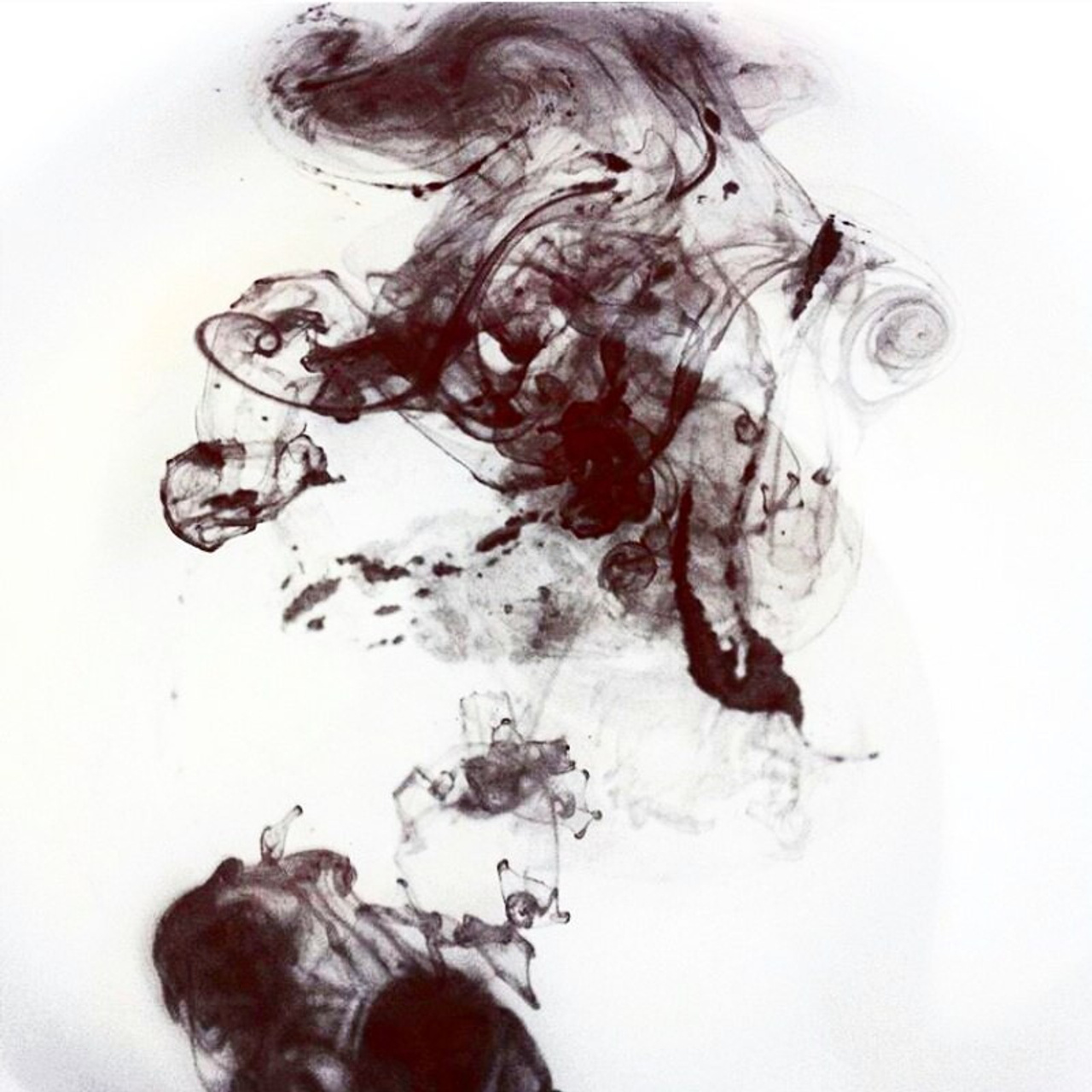 World. Ирина Савельева — фотограф