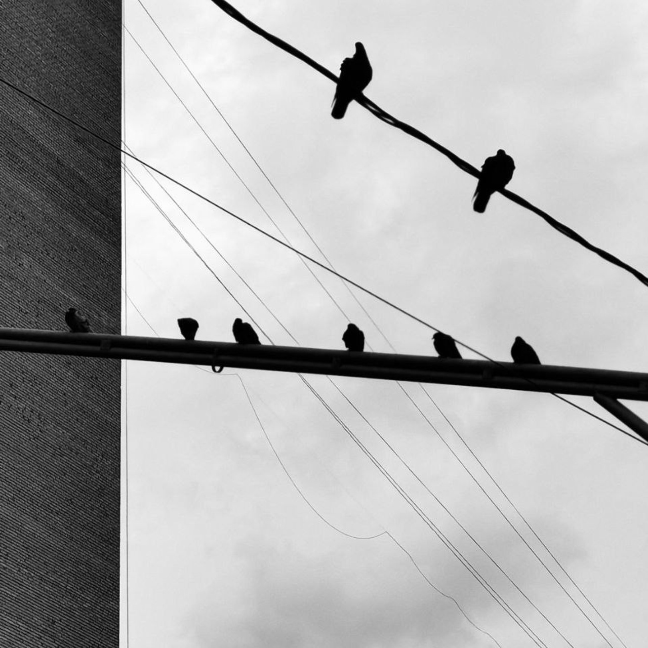 World. Ирина Савельева — фотограф