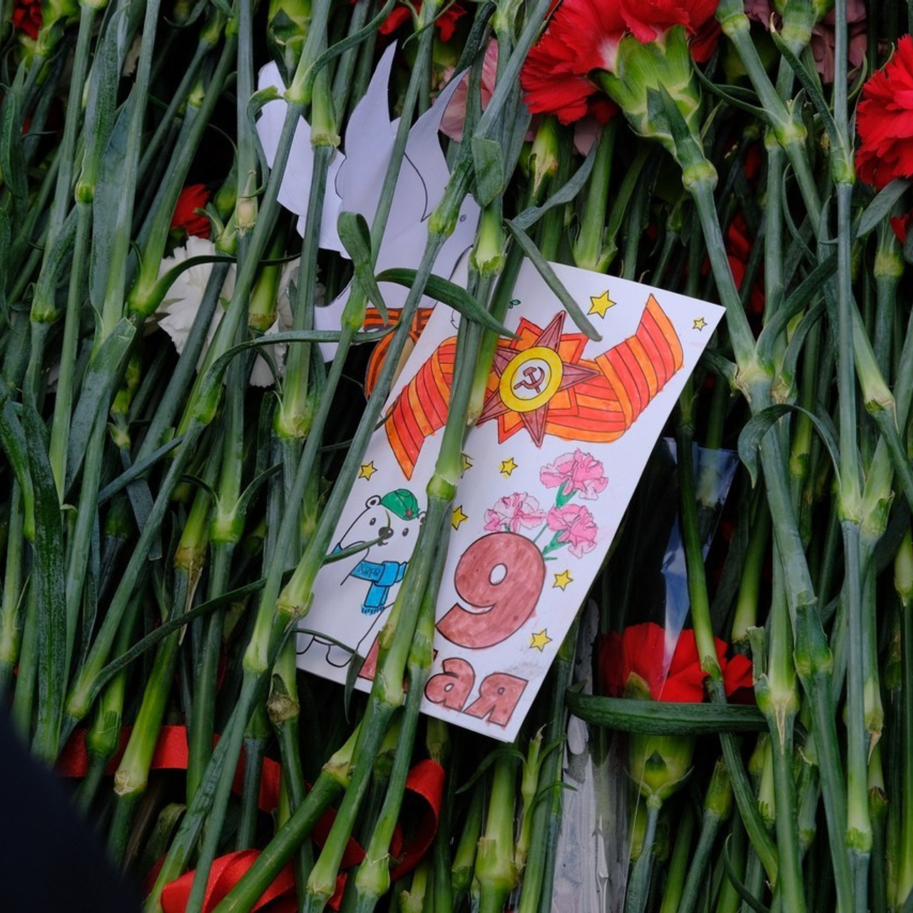 Отзывы. Репортажный, концертный фотограф в Санкт-Петербурге Эва Маркова