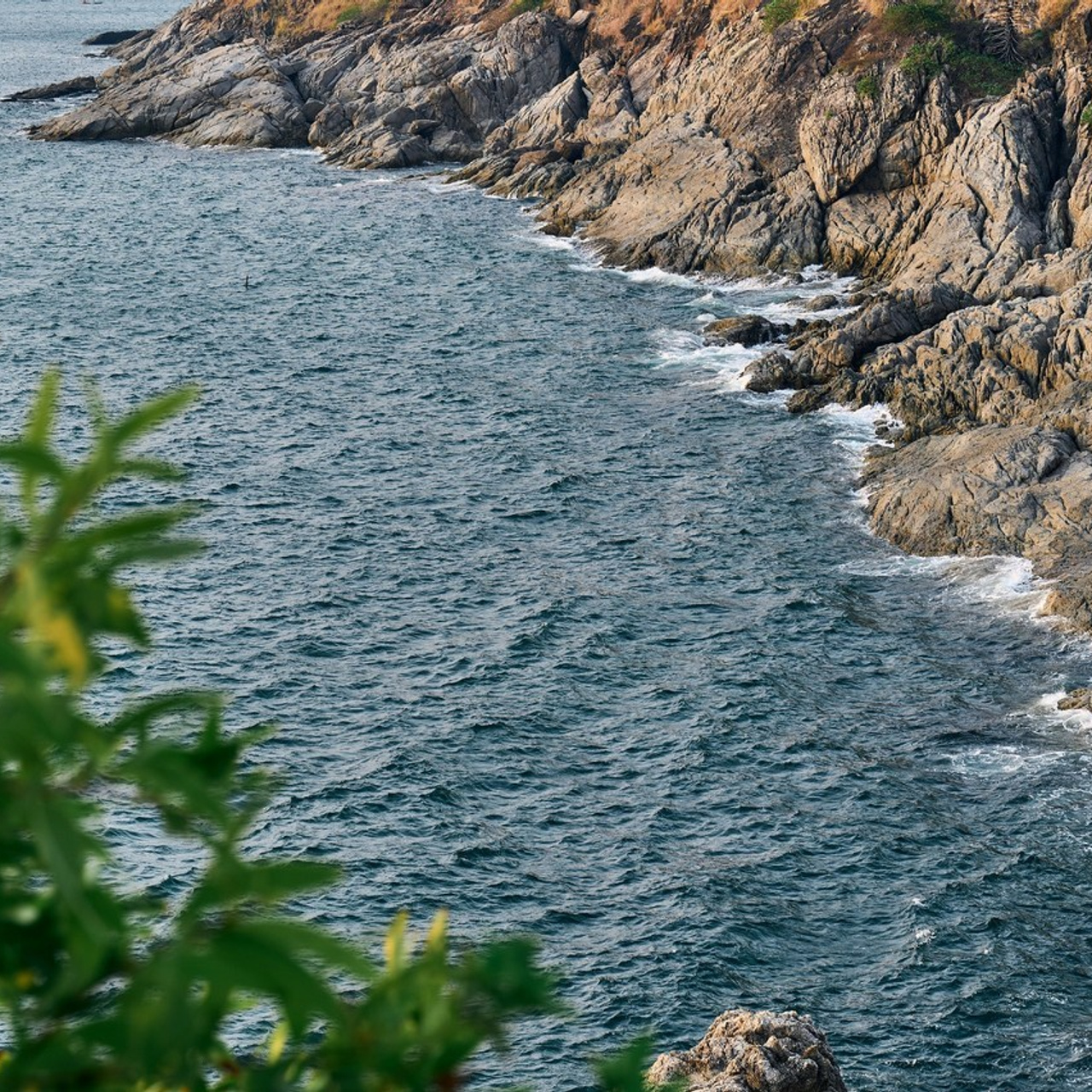 Отзывы. Профессиональный фотограф (Краснодар) Роман Гончаров
