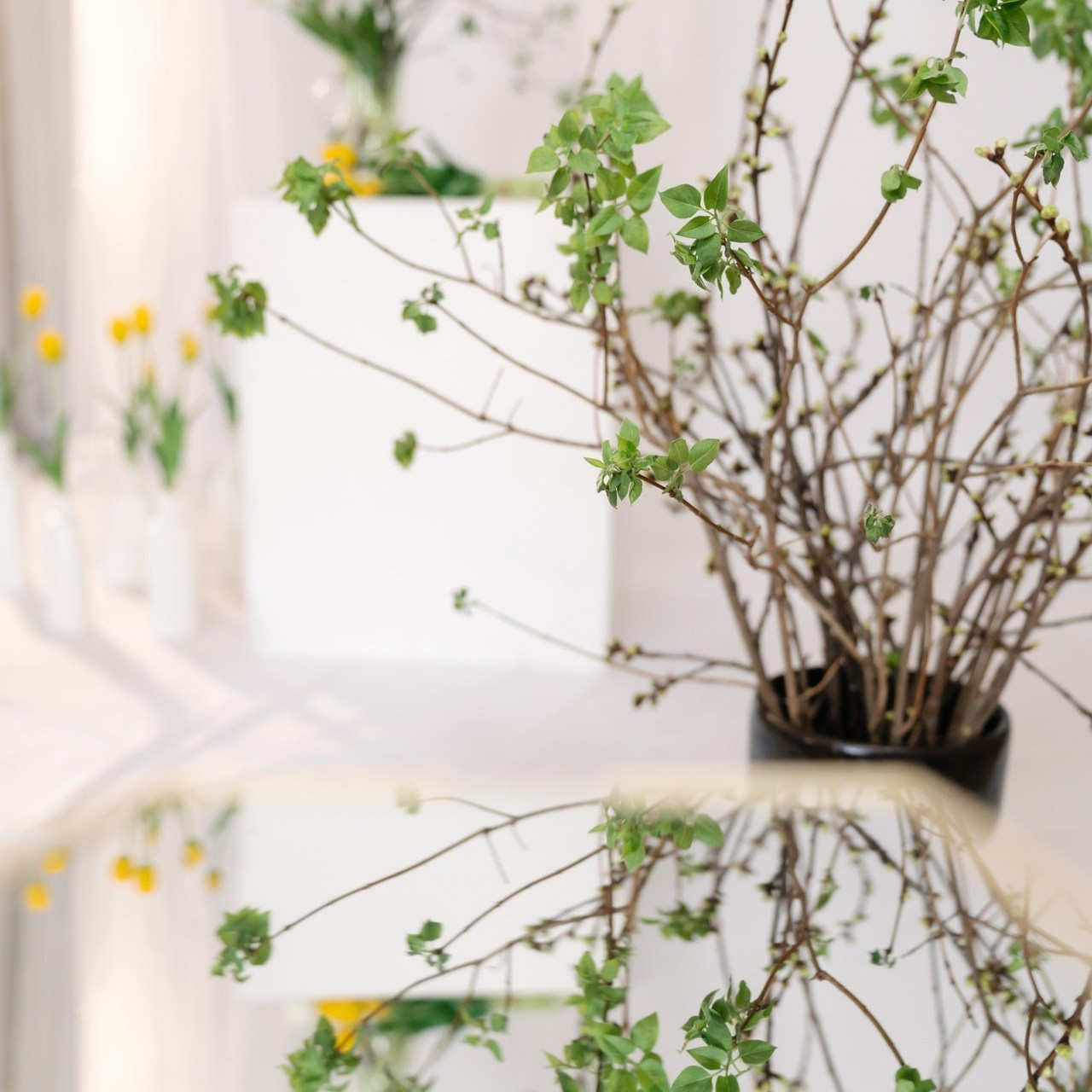 Отзывы. Семейный фотограф и видеограф Ростов-на-Дону