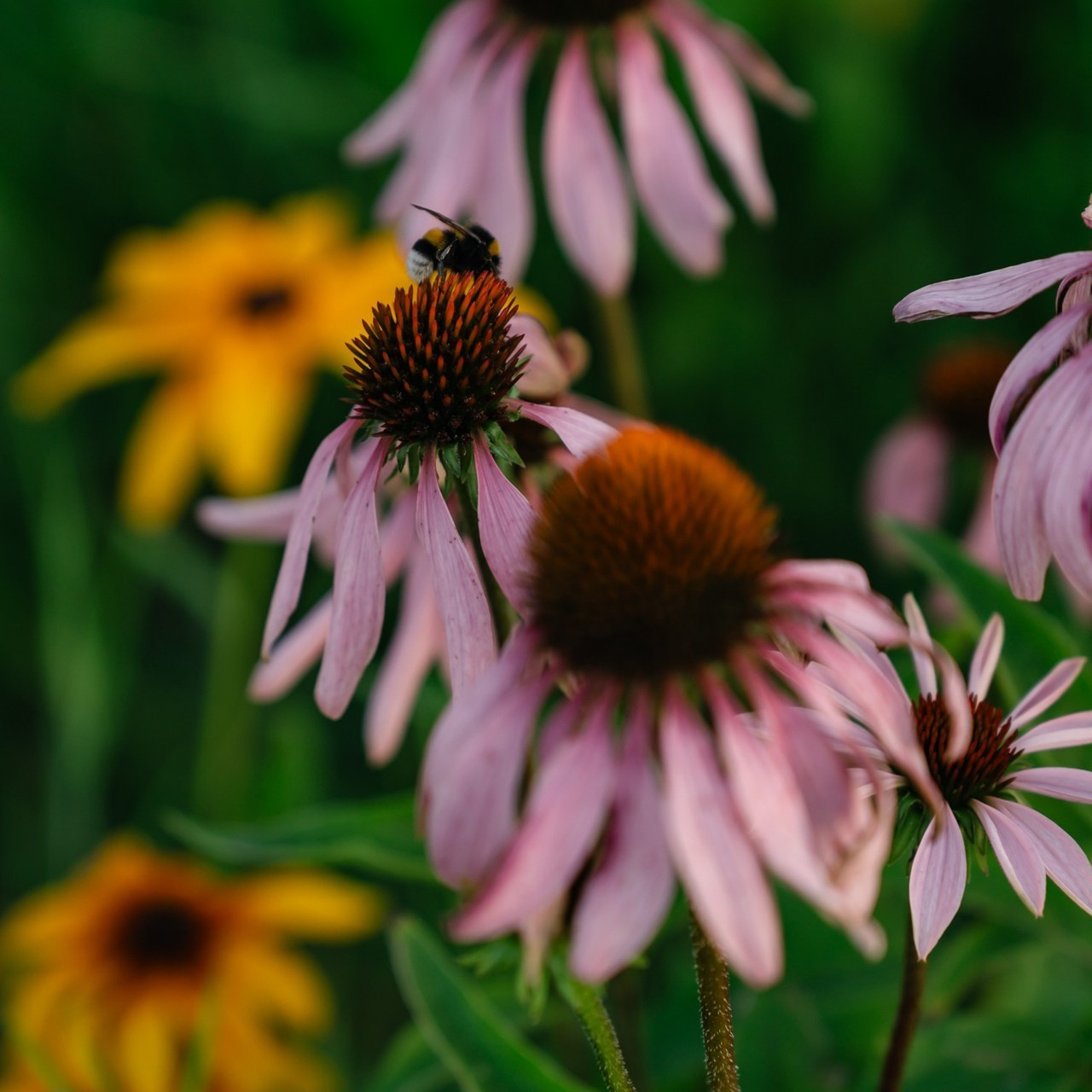 Отзывы. Семейный фотограф и видеограф Ростов-на-Дону