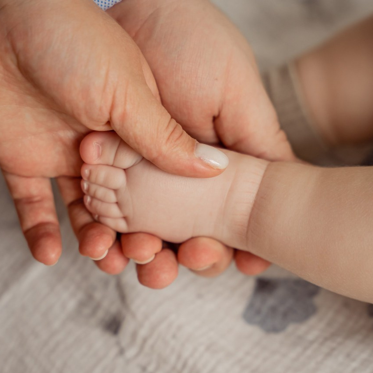 Отзывы. Фотограф Валентина Полунина