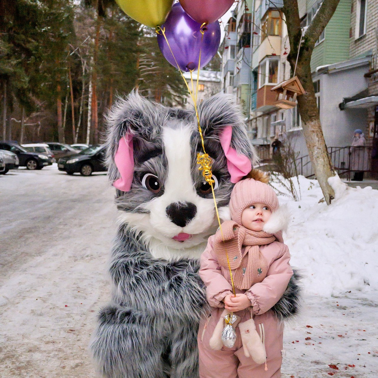 Отзывы Мишка Тедди. Поздравления от Мишки Тедди в Муроме