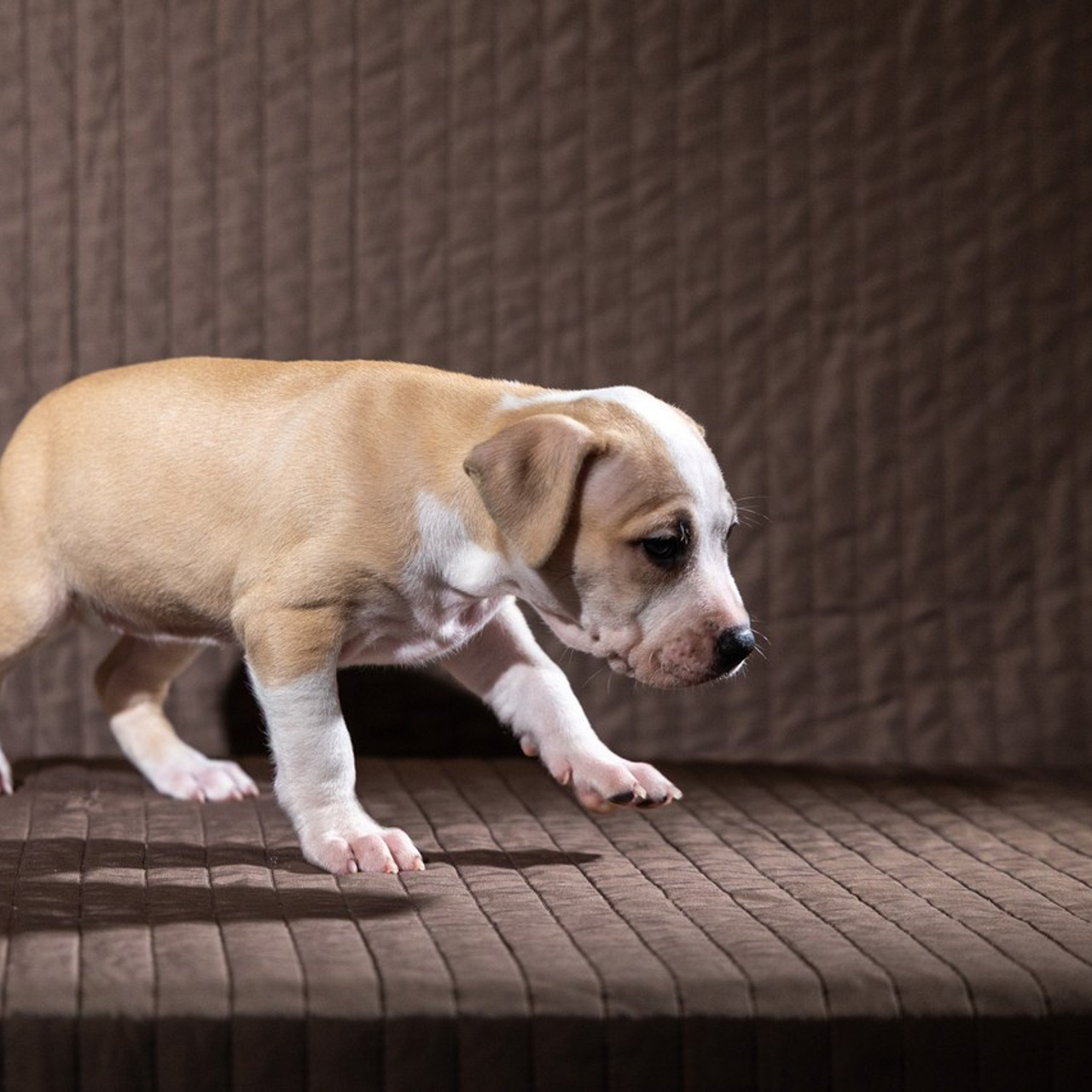 Отзывы. Свадебный и репортажный фотограф в Москве и Московской области