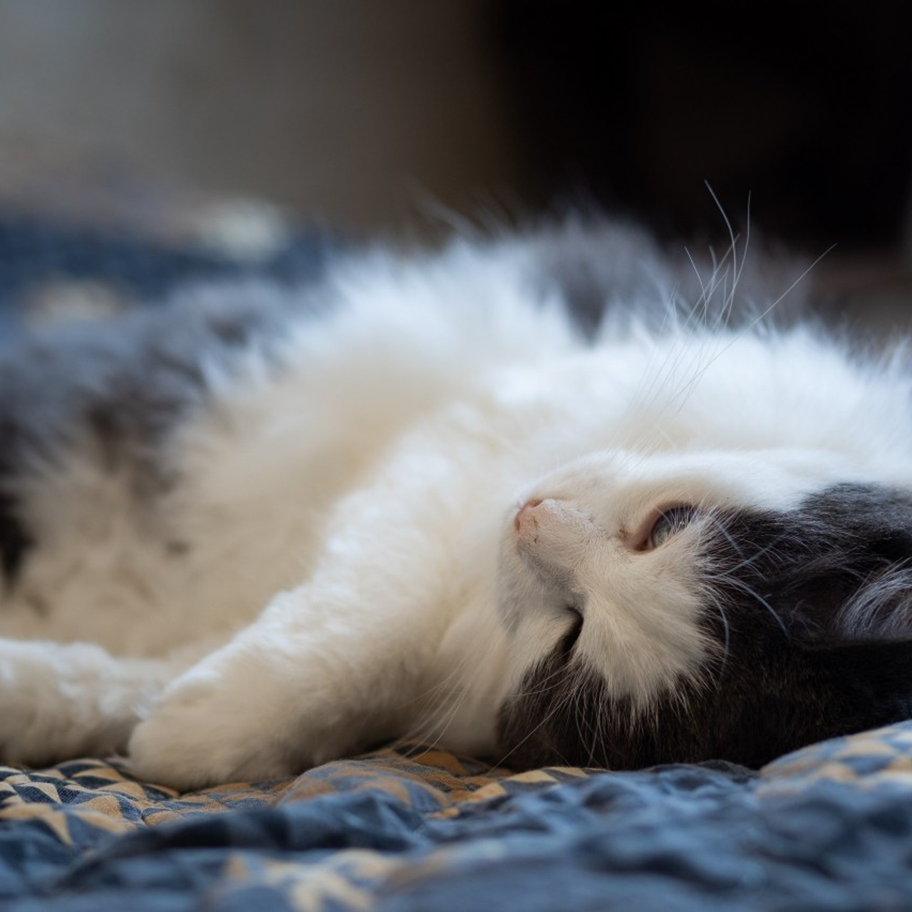 Отзывы. Свадебный и репортажный фотограф в Москве и Московской области