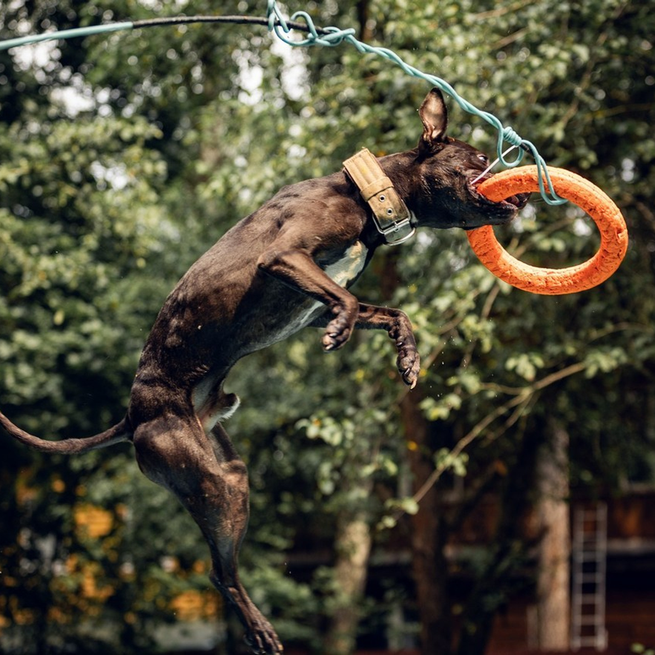 Отзывы. Свадебный и репортажный фотограф в Москве и Московской области