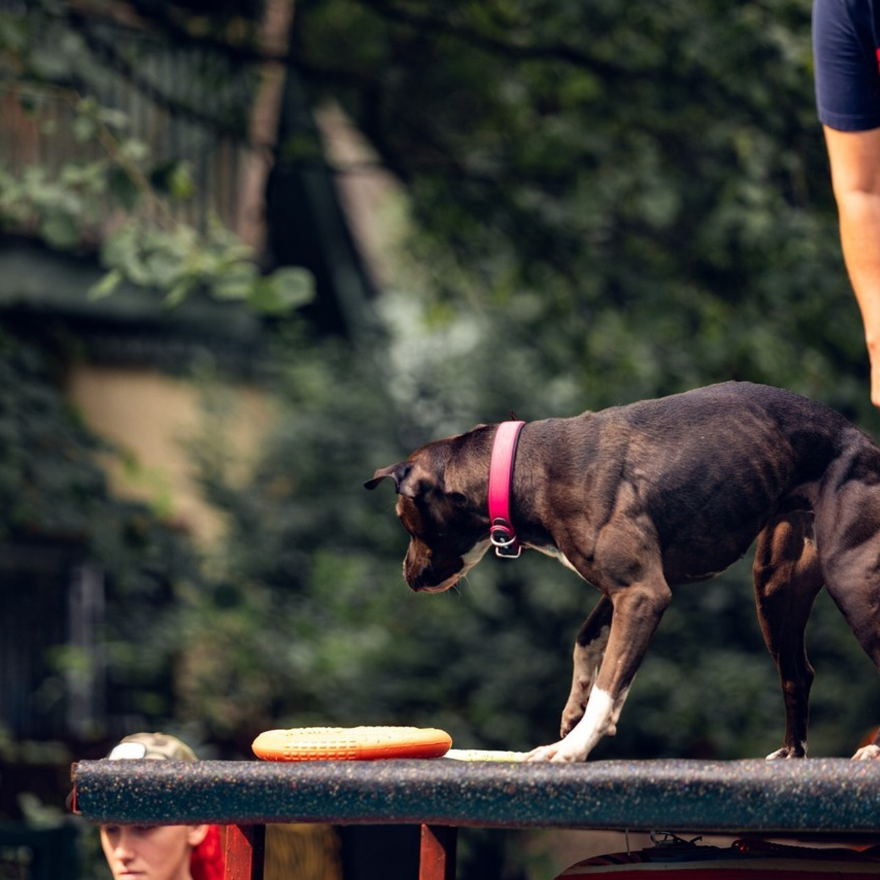 Отзывы. Свадебный и репортажный фотограф в Москве и Московской области