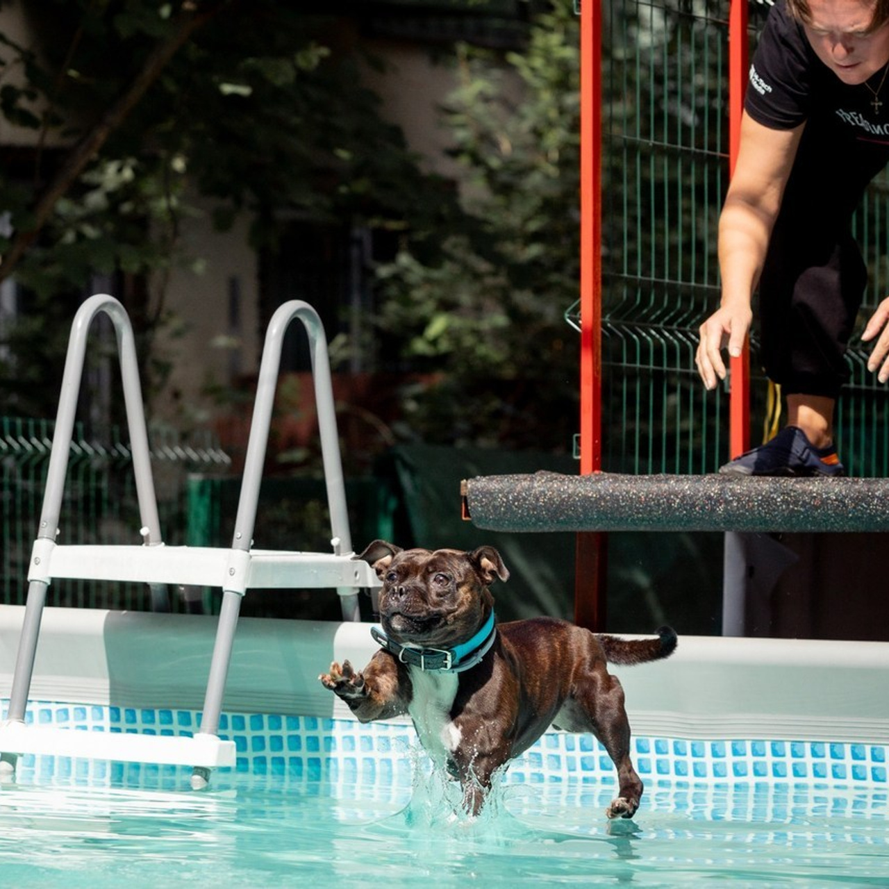 Отзывы. Свадебный и репортажный фотограф в Москве и Московской области