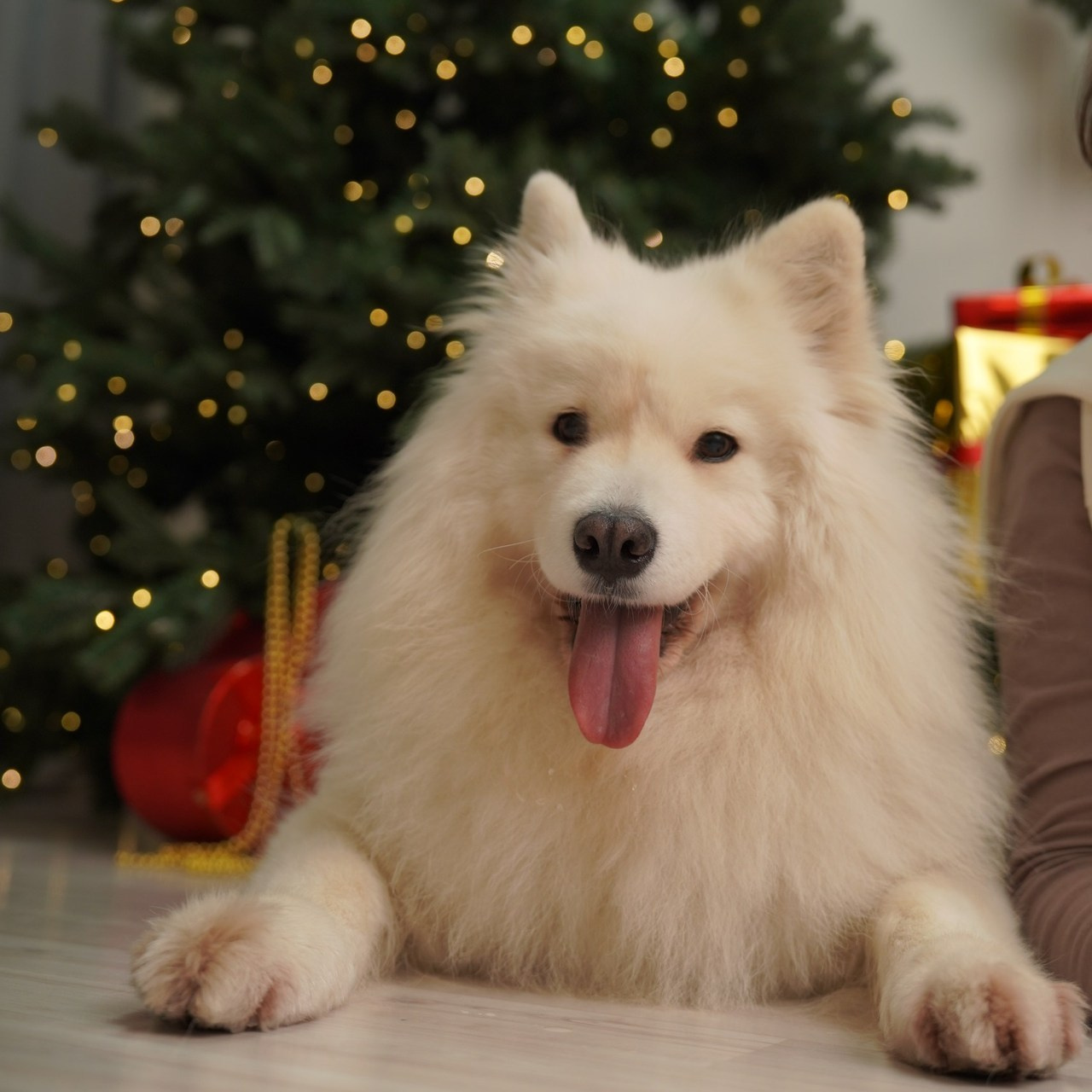 Напишите мне отзыв о моей работе. Детский, семейный фотограф: newborn, беременность, годовасие, репортаж. Москва