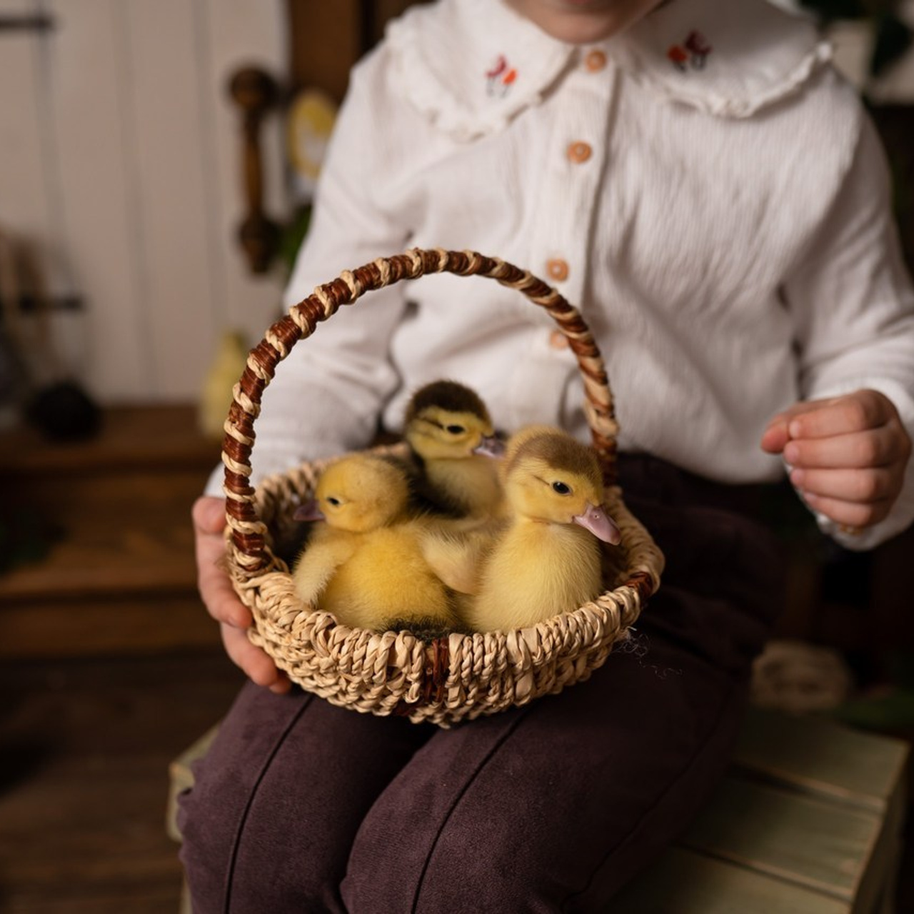 Напишите мне отзыв о моей работе. Детский, семейный фотограф: newborn, беременность, годовасие, репортаж. Москва