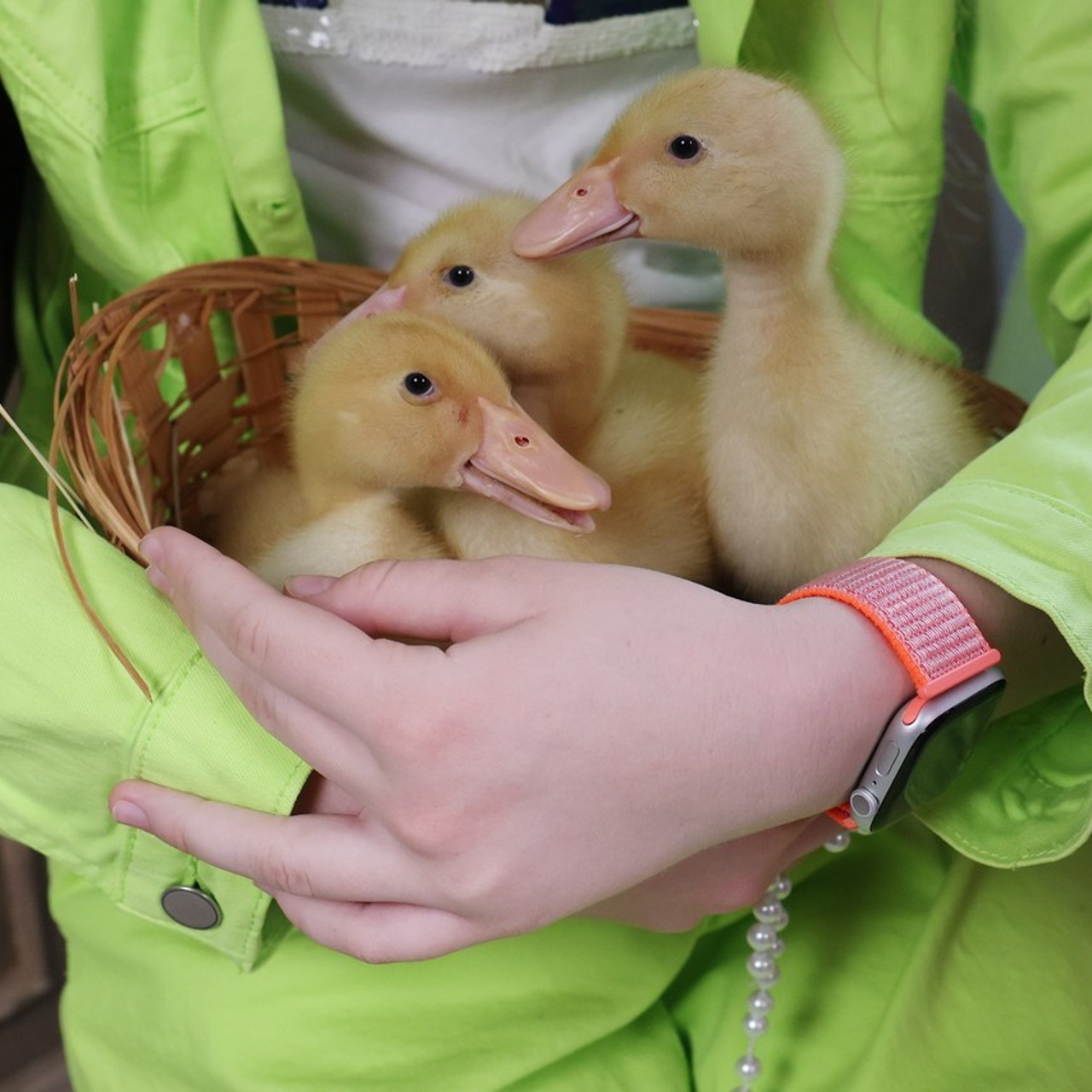 Отзывы. Главная