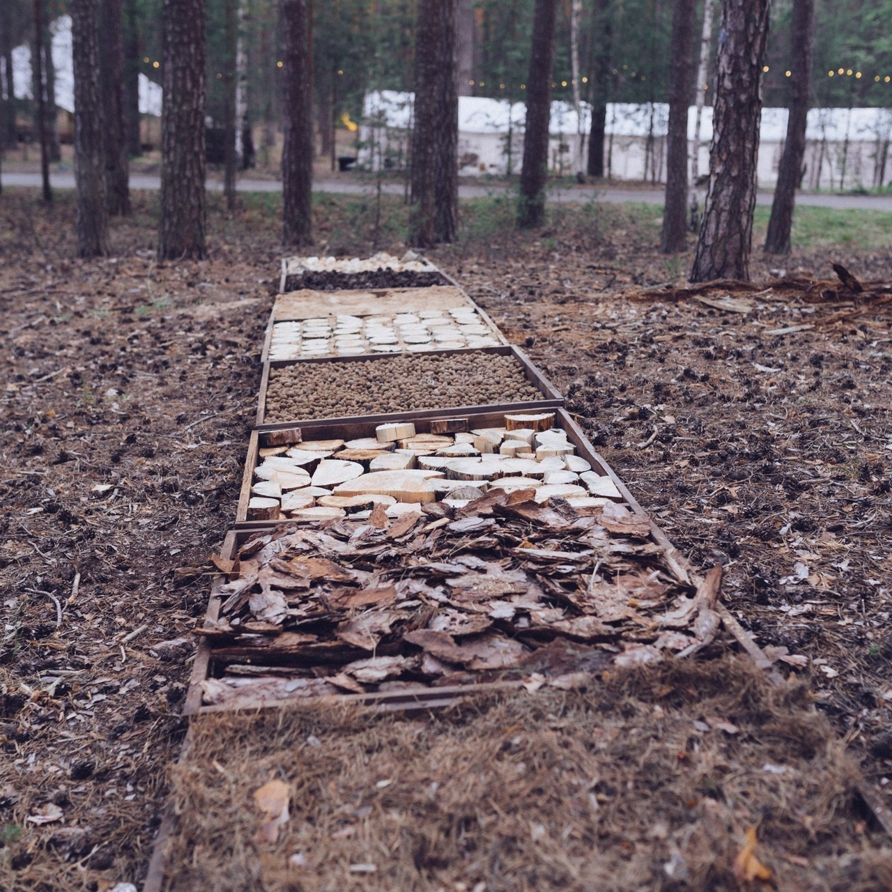 Отзывы. ФОТОГРАФ ЛЕНА ЛОНЬКИНА