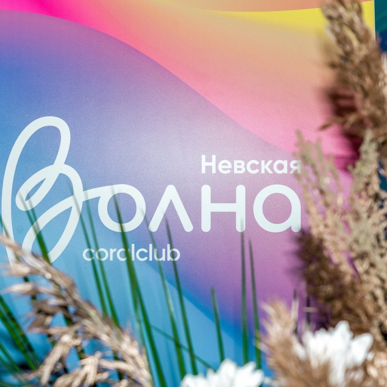 Отзывы. Главная