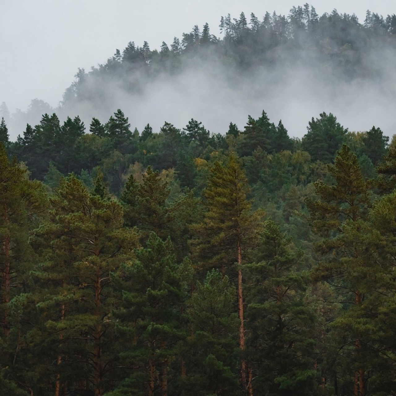 Отзывы. Репортажный фотограф Андрей Герасимов