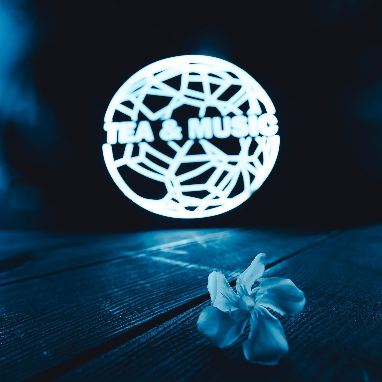 Отзывы. Репортажный фотограф Андрей Герасимов